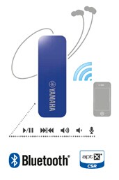 EPH-WS01