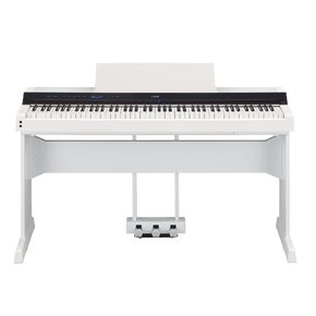 P-S500
