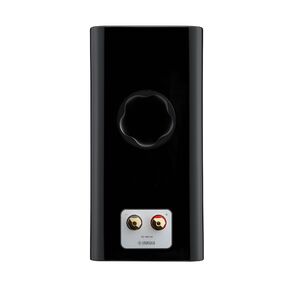 NS-600A