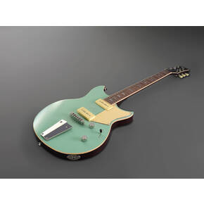 RSS02T