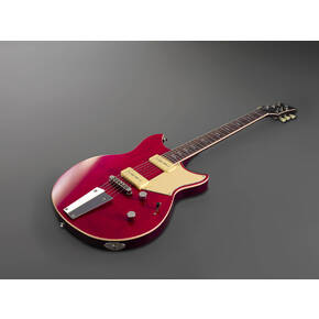 RSS02T