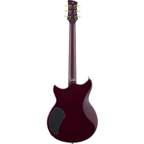 RSS20
