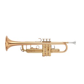 YTR-8335EA