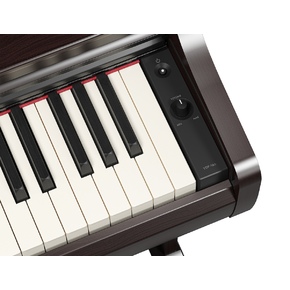 YDP-166