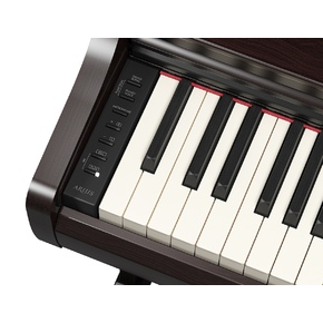 YDP-166