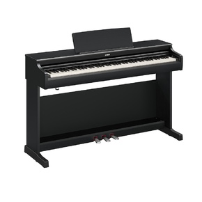 YDP-166