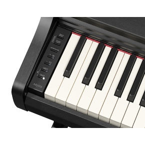 YDP-166