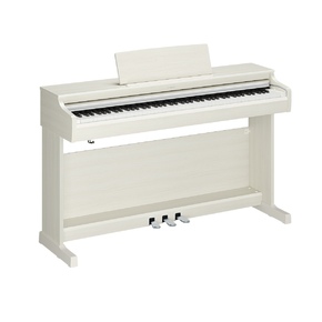 YDP-166