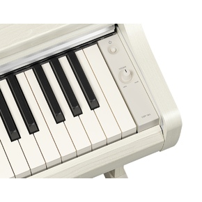 YDP-166