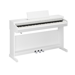 YDP-166