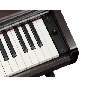 YDP-146