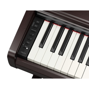YDP-146