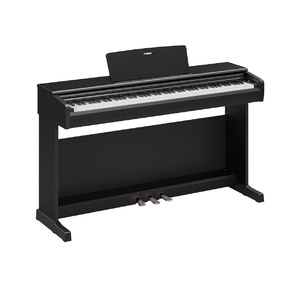 YDP-146