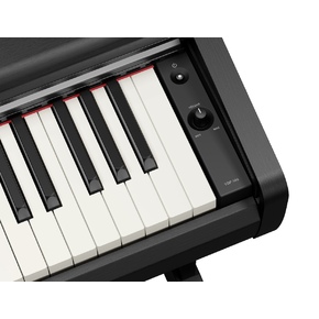 YDP-146