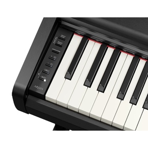 YDP-146