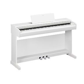 YDP-146