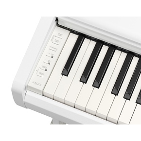 YDP-146