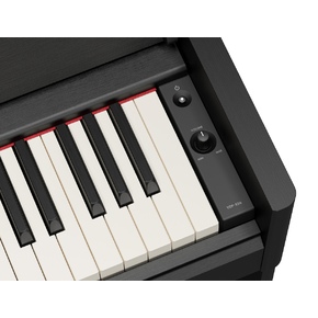 YDP-S56