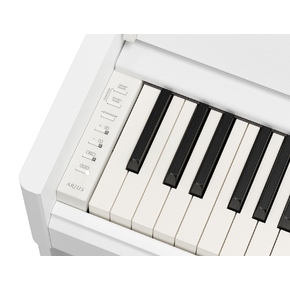YDP-S56