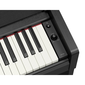 YDP-S36