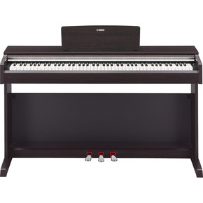YDP-142