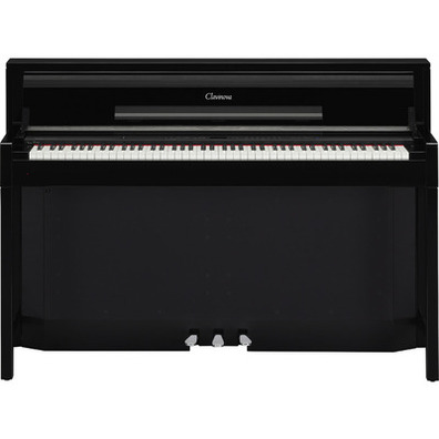 CLP-S306