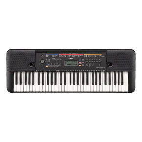 PSR-E263