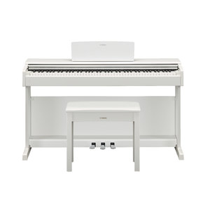 YDP-144