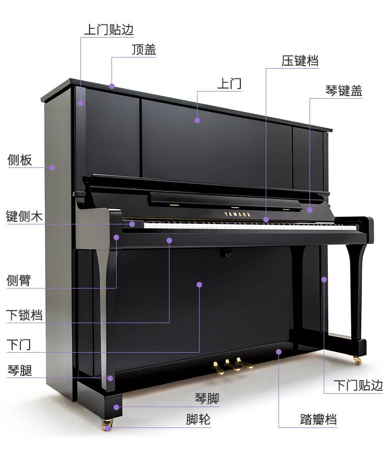 钢琴完整结构图图片