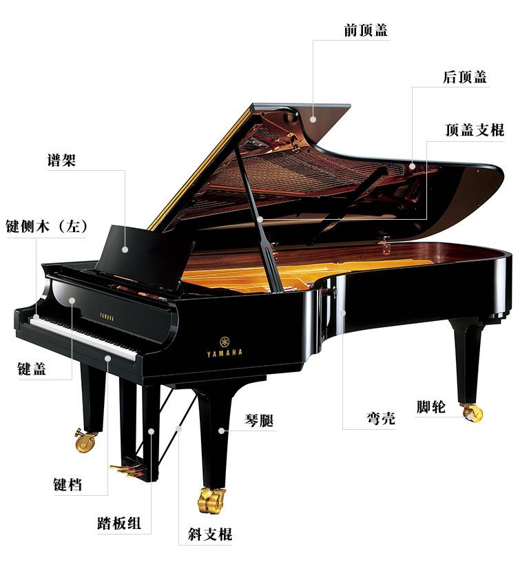【雅马哈钢琴保养】mark这波「高清图解」三角钢琴外装基础知识!
