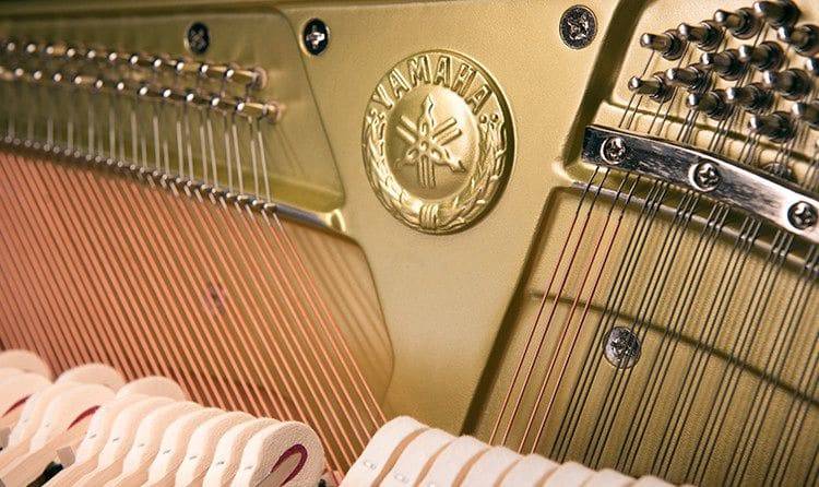 原声加振钢琴 TRANSACOUSTIC™