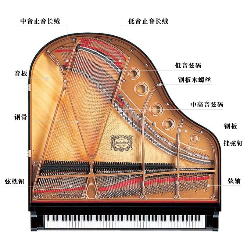 让我们来看一下三角钢琴(gp)共鸣盘部件图:共鸣系统主要是由弦列,音板