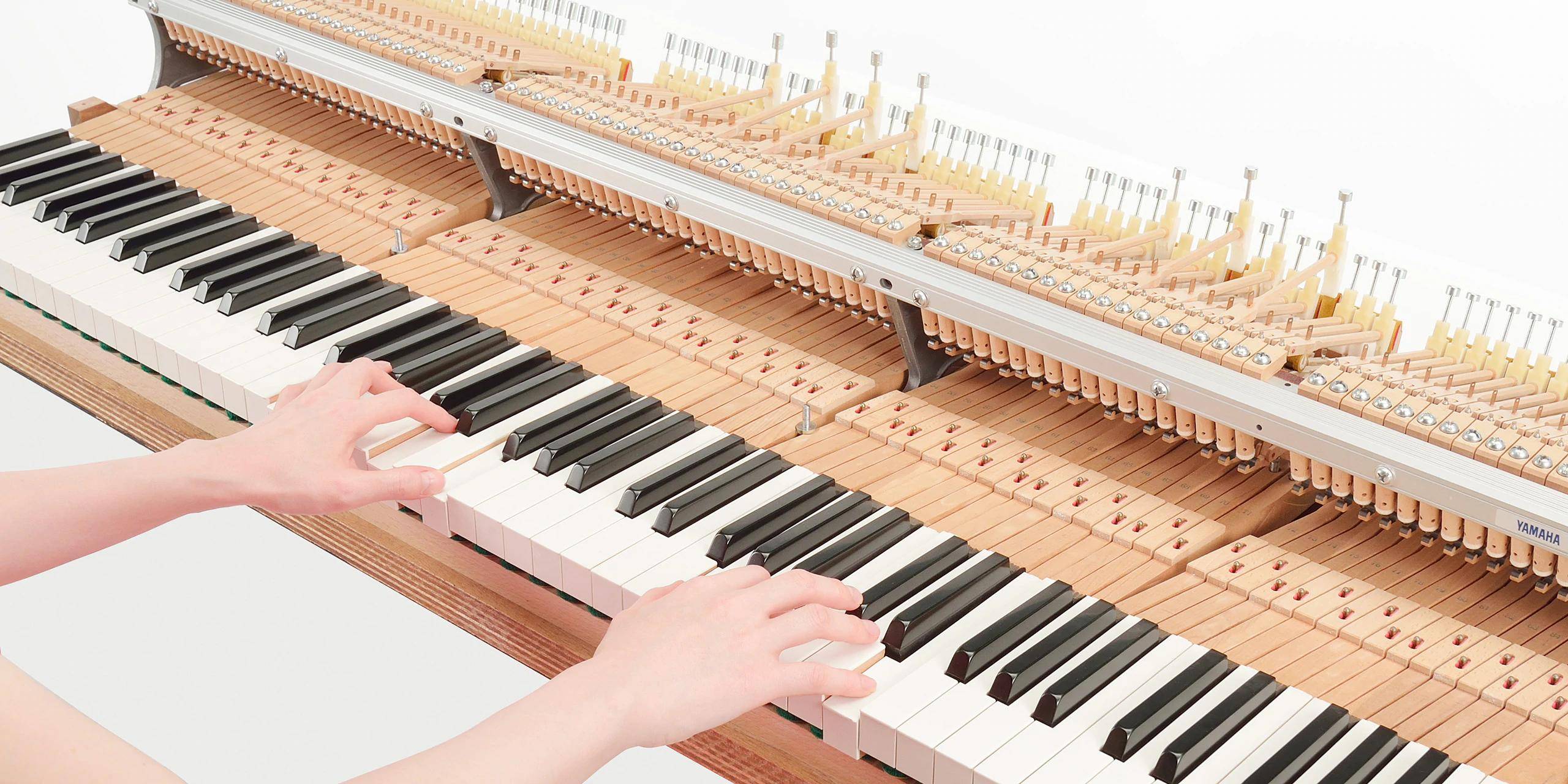 Photo Over 5,000 genuine Yamaha action components deliver an authentic acoustic experience