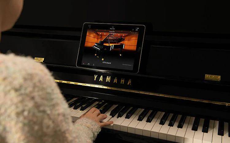 原声加振钢琴 TRANSACOUSTIC™