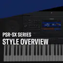 PSR-SX900