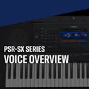 PSR-SX900