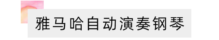 活动报道 | 远程艺术教育大师课活动——雅马哈特邀艺术家张奕明大师课